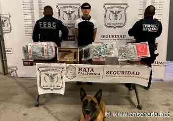 Detenido en Rosarito con arma de fuego y marihuana - Ensenada.net
