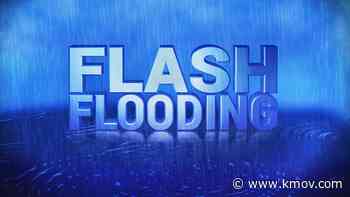 Foster homes needed after flooding at St. Clair County Animal Services - KMOV4