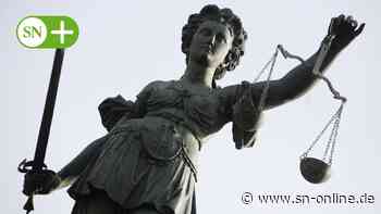 Rinteln: Berufungs-Urteil bestätigt Geldstrafe nach Schlägen gegen Hundebesitzer - Schaumburger Nachrichten