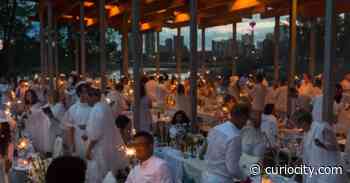 A top-secret, luxury picnic party is happening in Calgary & this is the only way you can get tickets - Curiocity