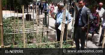 Pedro Sánchez cultiva un huerto en Moncloa y regala sus berenjenas a los líderes que lo visitan - EL ESPAÑOL
