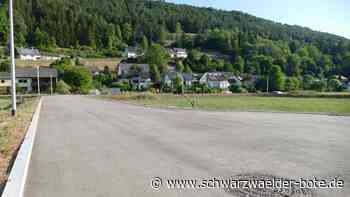 Trotz Gegenstimmen - Hopfauer Bauplatzpreise werden nicht reduziert - Schwarzwälder Bote