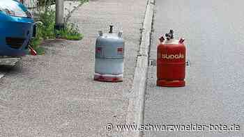 Maßnahmen wegen Energiekrise - In Sulz werden Energiesparkonzepte gefordert - Schwarzwälder Bote