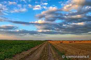 La Regione paga gli anticipi della Pac: in provincia 33 milioni e mezzo di euro - Cremona Sera