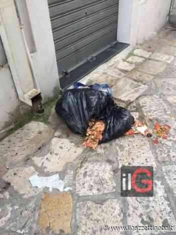 Mesagne. In tilt la raccolta della spazzatura - Il Gazzettino di Brindisi