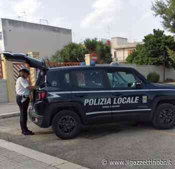 Polizia locale Mesagne. Scoperta struttura ricettiva abusiva e nominati i responsabili dei servizi In evidenza - Il Gazzettino di Brindisi