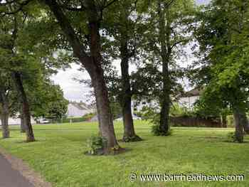 Giffnock: Braidholm Road shuts as part of anti-flooding project - Barrhead News