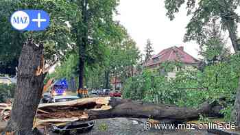 Falkensee: Windhose zieht über die Gartenstadt - Märkische Allgemeine Zeitung