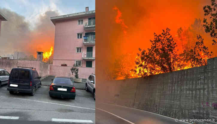Genova, incendio sulle alture di Voltri: fiamme sotto controllo. Ipotesi dolosa - Primocanale.it - Le notiz... - Primocanale