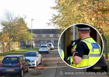 Basildon suspected sex offender snared by paedo hunter group | Echo - Southend Echo