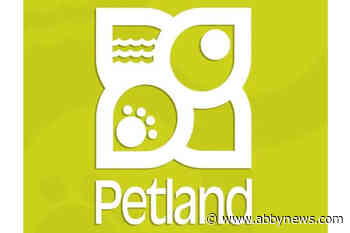 Petland coming soon to Abbotsford's Sevenoaks Shopping Centre - Abbotsford News