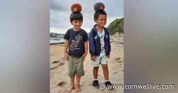 Mystery crafter revealed as dozens of knitted hedgehogs appear throughout Cornwall village - Cornwall Live