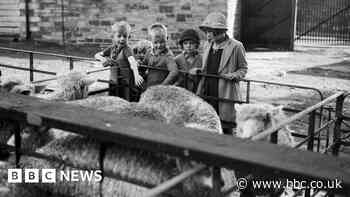 Cornwall and Devon given Historic England Everyday Heritage Grants - BBC