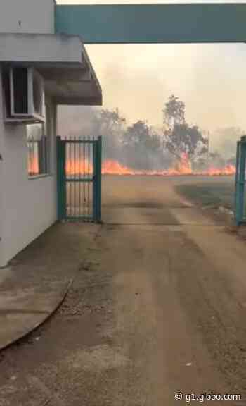 Incêndio atinge área verde e campo de futebol da UFT em Miracema do Tocantins - Globo.com
