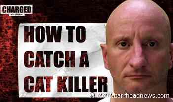 Charged True Crime UK: Watch The Brighton Cat Killer documentary here - Barrhead News