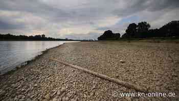 Wasserstände sinken: Trocknen in Deutschland die Flüsse aus?