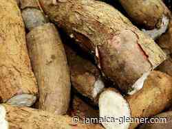 Sydney Pagon expands agro food processing curriculum | News - Jamaica Gleaner