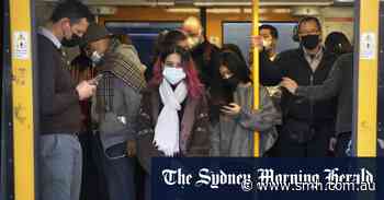 Sydney public transport's future revealed in Project Phoenix - Sydney Morning Herald