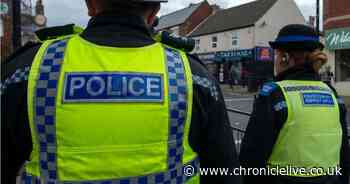 Police confirm missing Durham teenager Harlie Ray has been found - Chronicle Live