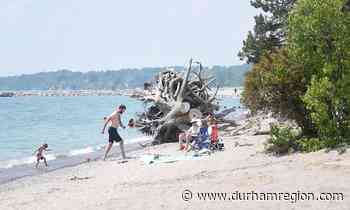 Want to cool off this weekend? Only 6 durham beaches are 'safe' for swimming - durhamregion.com