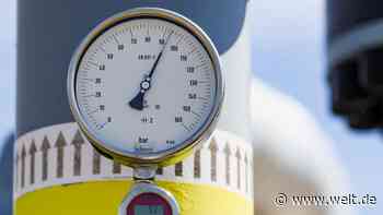 Die Linke fordert Gaspreisdeckel für Geringverdiener