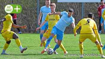 Endlich wieder ein Heimspiel! Lupo erwartet im NFV-Pokal Celle - Wolfsburger Allgemeine