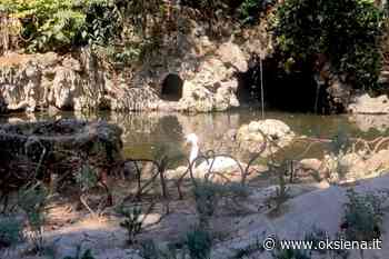 SIENA, NUOVA VESTE PER IL LAGHETTO DEI CIGNI A LA LIZZA - oksiena.it