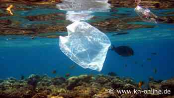 UN-Vollversammlung erkennt Recht auf saubere und gesunde Umwelt an