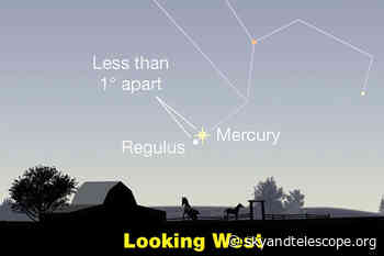 This Week's Sky at a Glance, July 29 – August 6