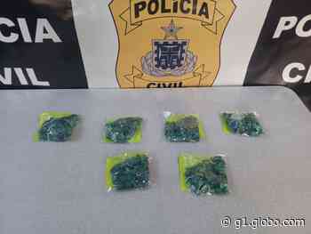 Mais de mil pedras de esmeraldas são apreendidas em operação da Polícia Civil no norte da Bahia - Globo.com