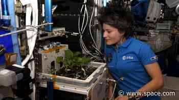 International Space Station has 'peculiar odor,' astronaut says