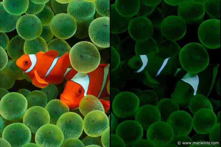 iOS 16 wallpapers reveal always-on screen behavior for iPhone 14 Pro