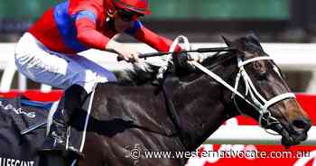 Verry Elleegant's European debut postponed - Western Advocate