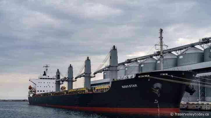 Ukrainian president observes 1st grain exports leaving