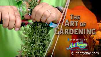 Art of Gardening – Summer Pruning for Perennials - CFJC Today Kamloops