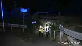 Tödlicher Unfall in Witten: Pferd von Zug erfasst - WDR Nachrichten