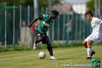 Sassuolo: un giovane attaccante al Città di Castello, nella patria di Magnanelli | Canale Sassuolo - CanaleSassuolo.it