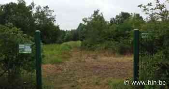 Zondag zomerwandeling in natuurgebied Bramier - Het Laatste Nieuws