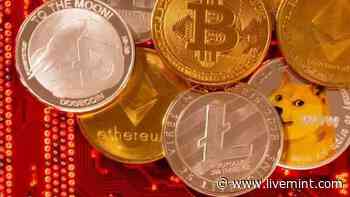 Bitcoin vs Dogecoin: Which cryptocurrency to choose in volatile market | Mint - Mint