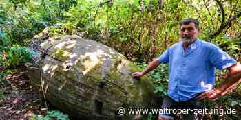 Mini-Bunker findet sich in Waltrop noch im Unterholz - Waltroper Zeitung