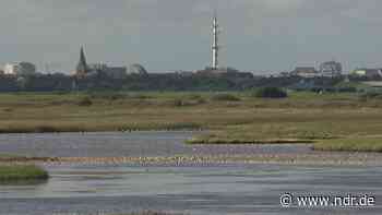 Zeitreise: Rantumbecken - vom Nazi-Bauwerk zum Naturschutzgebiet - NDR.de