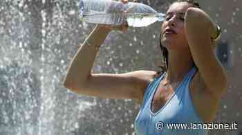 Umbria nella morsa del caldo, Foligno sfiora i 41 gradi - LA NAZIONE