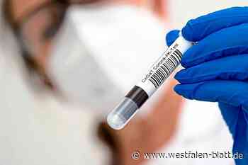 Inzidenz in Minden-Lübbecke wieder über 800 - Westfalen-Blatt