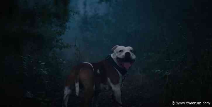 Dark role-reversal ad from Havas highlights issue of dog abandonment