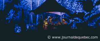 Live à Lost River : le festival en pleine nature de Patrick Watson