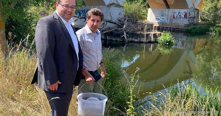 Spontane Rettungsaktion für vom Aussterben bedrohte Fische