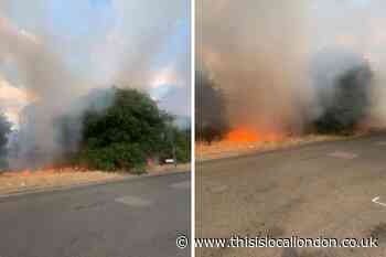 Longleigh Lane Bexleyheath grass fire: Live updates