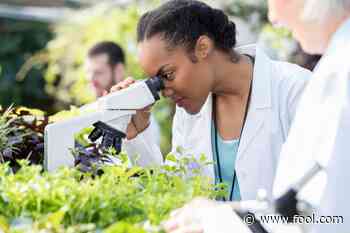 Better Buy: Sundial Growers vs. Aurora Cannabis - The Motley Fool
