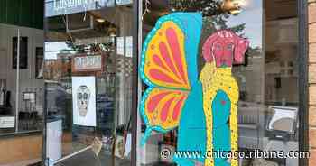 Art sought to be displayed in downtown Aurora during Sugar Skull City events - Chicago Tribune