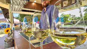 Kultursommer: Weine probieren auf der Wittenberger Schlosswiese - Mitteldeutsche Zeitung